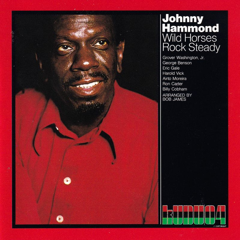 WILD HORSES ROCK STEADY - JOHNNY HAMMOND SMITH