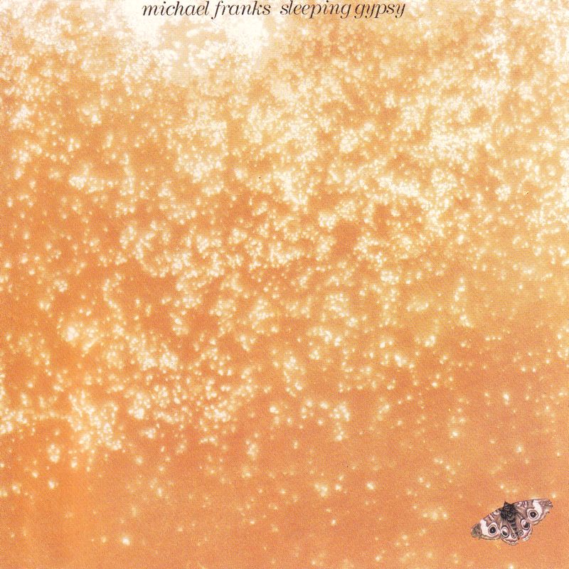 SLEEPING GYPSY - MICHAEL FRANKS